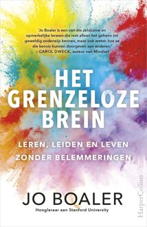 Het grenzeloze brein