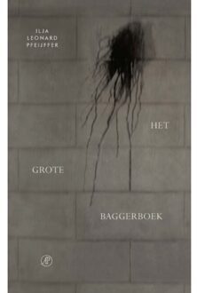 Het grote baggerboek