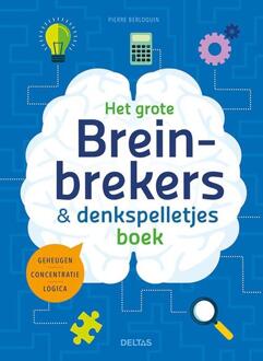 Het Grote Breinbrekers En Denkspelletjes Boek - Pierre Berloquin