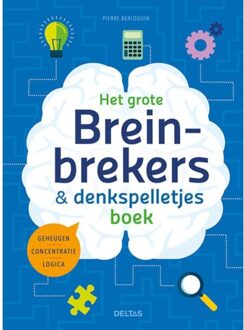 Het Grote Breinbrekers En Denkspelletjes Boek - Pierre Berloquin