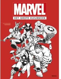 Het grote kleurboek - Boek Deltas Centrale uitgeverij (904474755X)