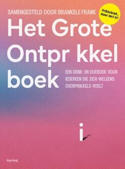 Het grote ontprikkelboek -  Brankele Frank (ISBN: 9789045052458)
