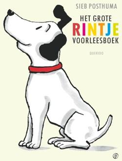 Het grote Rintje voorleesboek - Boek Sieb Posthuma (904510735X)