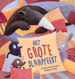 Het grote slaapfeest -  Anneke Gerbrands (ISBN: 9789044853490)