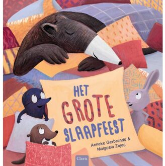 Het Grote Slaapfeest - Anneke Gerbrands