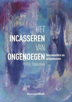 Het incasseren van ongenoegen - Boek M.W.A. Odekerken (9462904413)