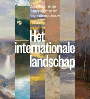 Het internationale landschap -  Nelleke de Vries (ISBN: 9789462625235)