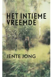 Het intieme vreemde - Boek Jente Jong (9021407442)