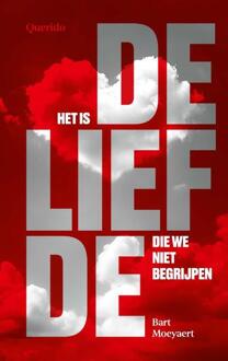 Het is de liefde die we niet begrijpen -  Bart Moeyaert (ISBN: 9789025319137)