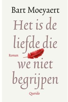 Het Is De Liefde Die We Niet Begrijpen