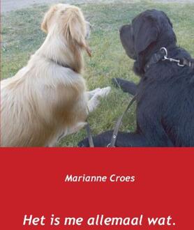 Het is me allemaal wat - Boek Marianne Croes (9461938144)