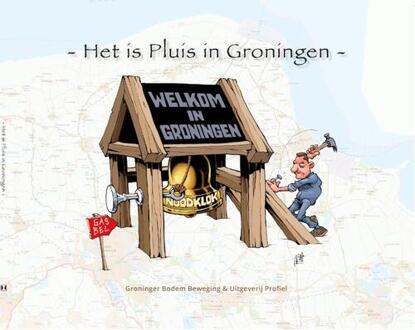 Het is pluis in Groningen - Boek Profiel BV (9052941513)