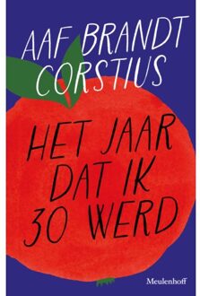 Het Jaar Dat Ik 30 Werd - Aaf Brandt Corstius