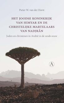 Het joodse koninkrijk van Himyar en de christelijke martelaars van Nadjrân - eBook Pieter W. van der Horst (9025307779)