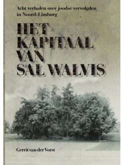 Het kapitaal van Sal Walvis - Boek Gerrit P. van der Vorst (9463184813)