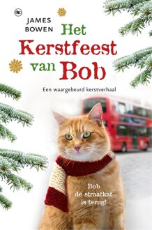 Het kerstfeest van Bob - eBook James Bowen (9044345826)