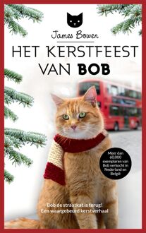 Het kerstfeest van Bob - eBook James Bowen (9044350684)