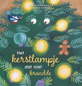 Het Kerstlampje Dat Niet Brandde - Susan Wallenburg