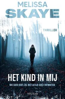 Het kind in mij -  Melissa Skaye (ISBN: 9789493193055)