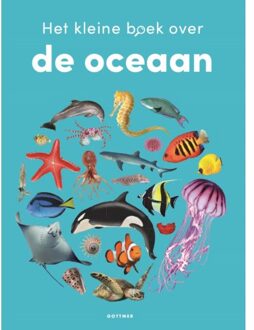 Het Kleine Boek Over De Oceaan - Samantha Gray