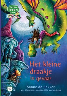 Het kleine draakje in gevaar - Boek Sanne de Bakker (9020678345)