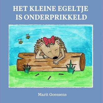 Het Kleine Egeltje Is Onderprikkeld