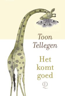 Het komt goed - Toon Tellegen - ebook