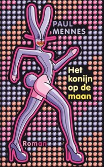 Het konijn op de maan - eBook Paul Mennes (9038893523)