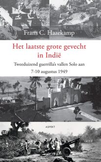 Het laatste grote gevecht in Indie - France C. Hazekamp - ebook