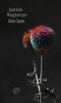 Het lam - Boek Jannie Regnerus (9028280944)