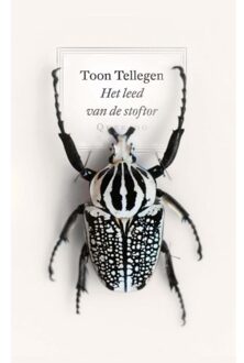 Het Leed Van De Stoftor