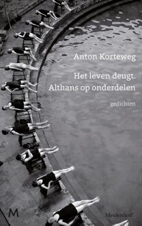Het leven deugt. Althans op onderdelen - eBook Anton Korteweg (9402310185)