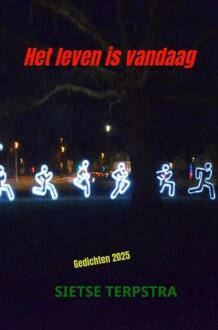Het leven is vandaag -  Sietse Terpstra (ISBN: 9789465383149)