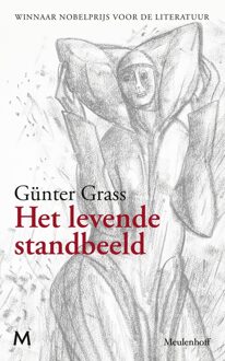Het levende standbeeld - Günter Grass - ebook