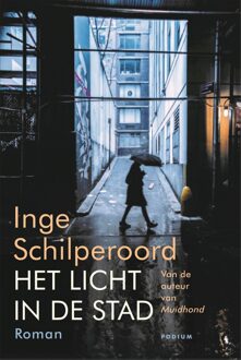 Het licht in de stad