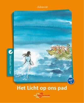 Het Licht op ons pad / Jaar 2 / Werkboek 7-9 jaar - Boek Susan Baltussen (9491042696)