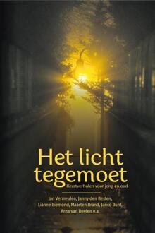 Het Licht Tegemoet - Jan Vermeulen