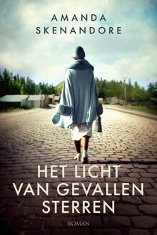 Het licht van gevallen sterren - Amanda Skenandore - ebook