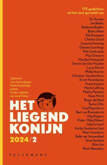 Het Liegend Konijn -  Jozef Deleu (ISBN: 9789463377676)