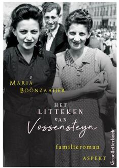 Het litteken van Vossensteyn - grootletterboek