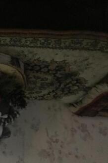 Het Meisje Dat Kerst Vierd -  Ans Linders (ISBN: 9789403856292)