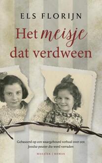 Het meisje dat verdween - Boek Els Florijn (9023952014)