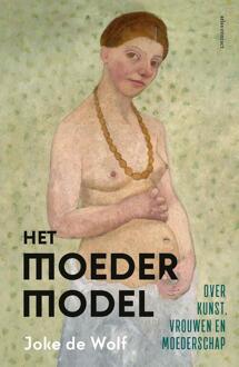 Het moedermodel -  Joke de Wolf (ISBN: 9789045046655)
