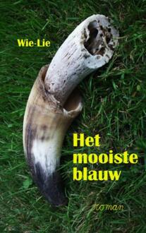 Het mooiste blauw - Boek Wiel Goossens (9491080946)