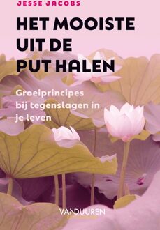 Het mooiste uit de put halen - Jesse Jacobs - ebook