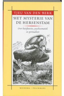 Het mysterie van de hersenstam - Boek Tjeu van den Berk (9021138581)