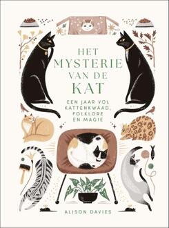Het mysterie van de kat -  Alison Davies (ISBN: 9789401306355)