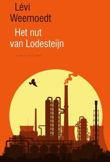 Het nut van Lodesteijn -  Lévi Weemoedt (ISBN: 9789038810652)