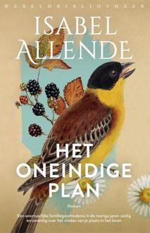 Het Oneindige Plan - Isabel Allende