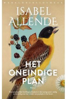 Het Oneindige Plan - Isabel Allende